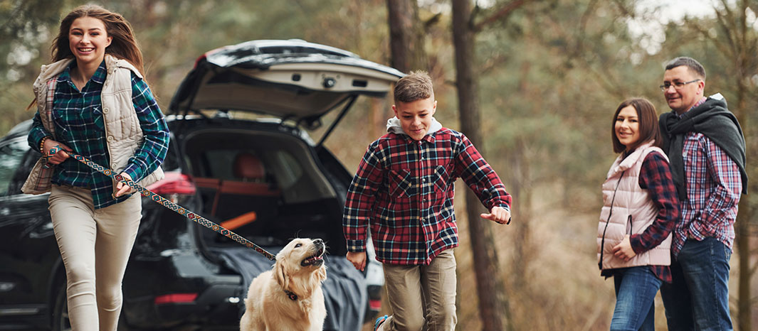 Illinois Auto owners with Auto Insurance Coverage